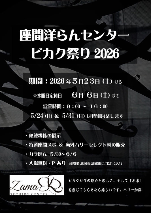 「ビカク祭り」2026開催のお知らせ